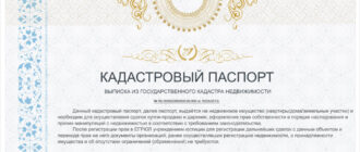Кадастровый паспорт